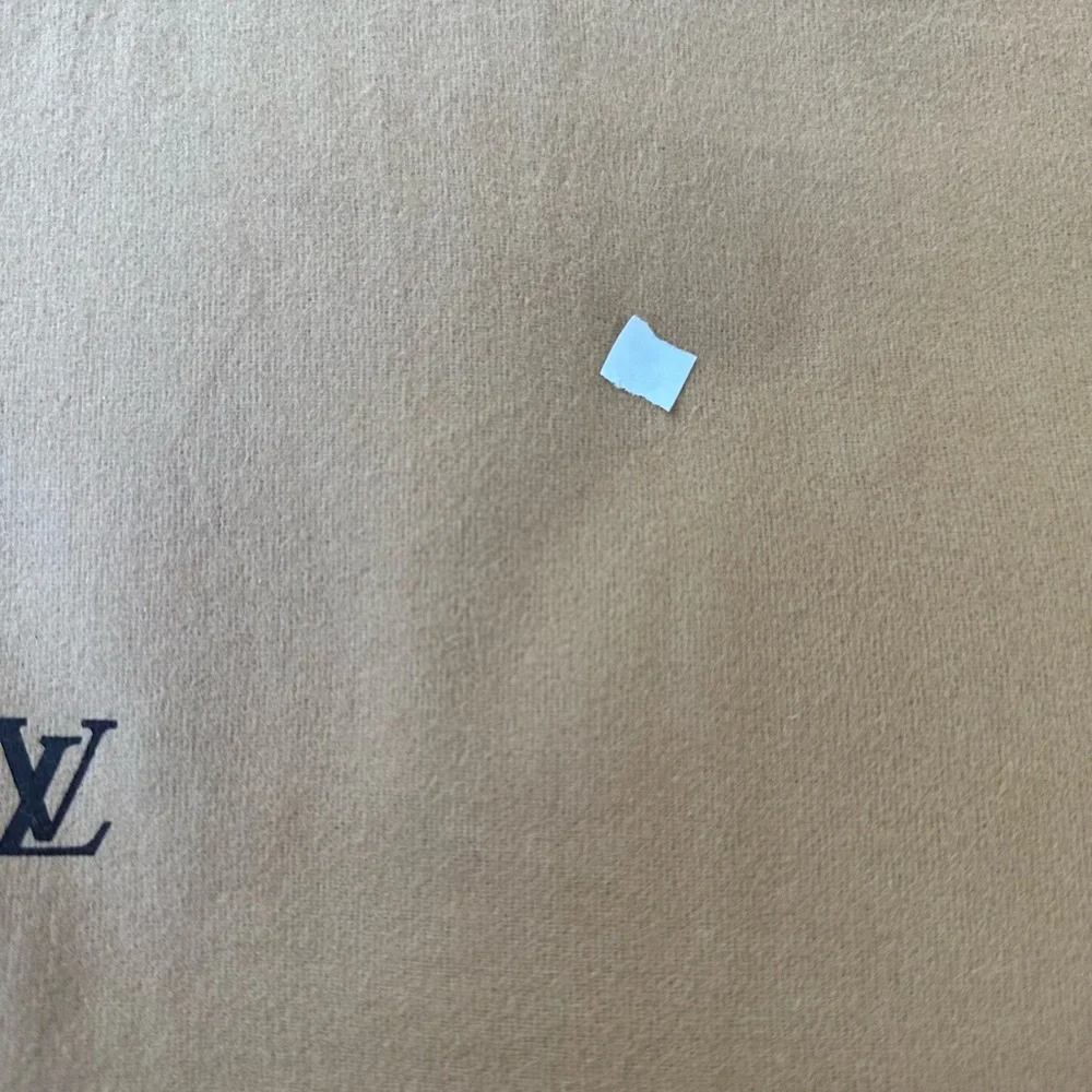 Reseller Bundle Authentic Louis Vuitton Flap Style Dust Bags – Lot of 10  Medium - Picture 11 of 12